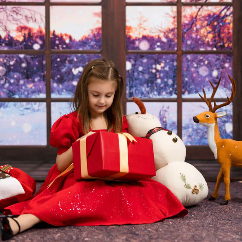 Girl holding gift box sitting in front of winter window backdrop