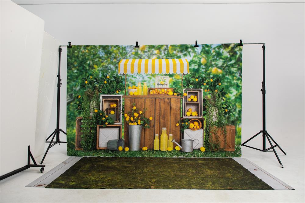 Kate Summer Lemon Fruit Garden Backdrop Lemonade Designed by Emetselch - Kate Backdrop AU