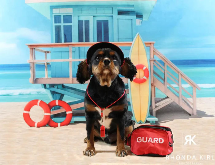 Kate Summer Beach Blue House Lifeguard Backdrop Designed by Mini MakeBelieve - Kate Backdrop AU