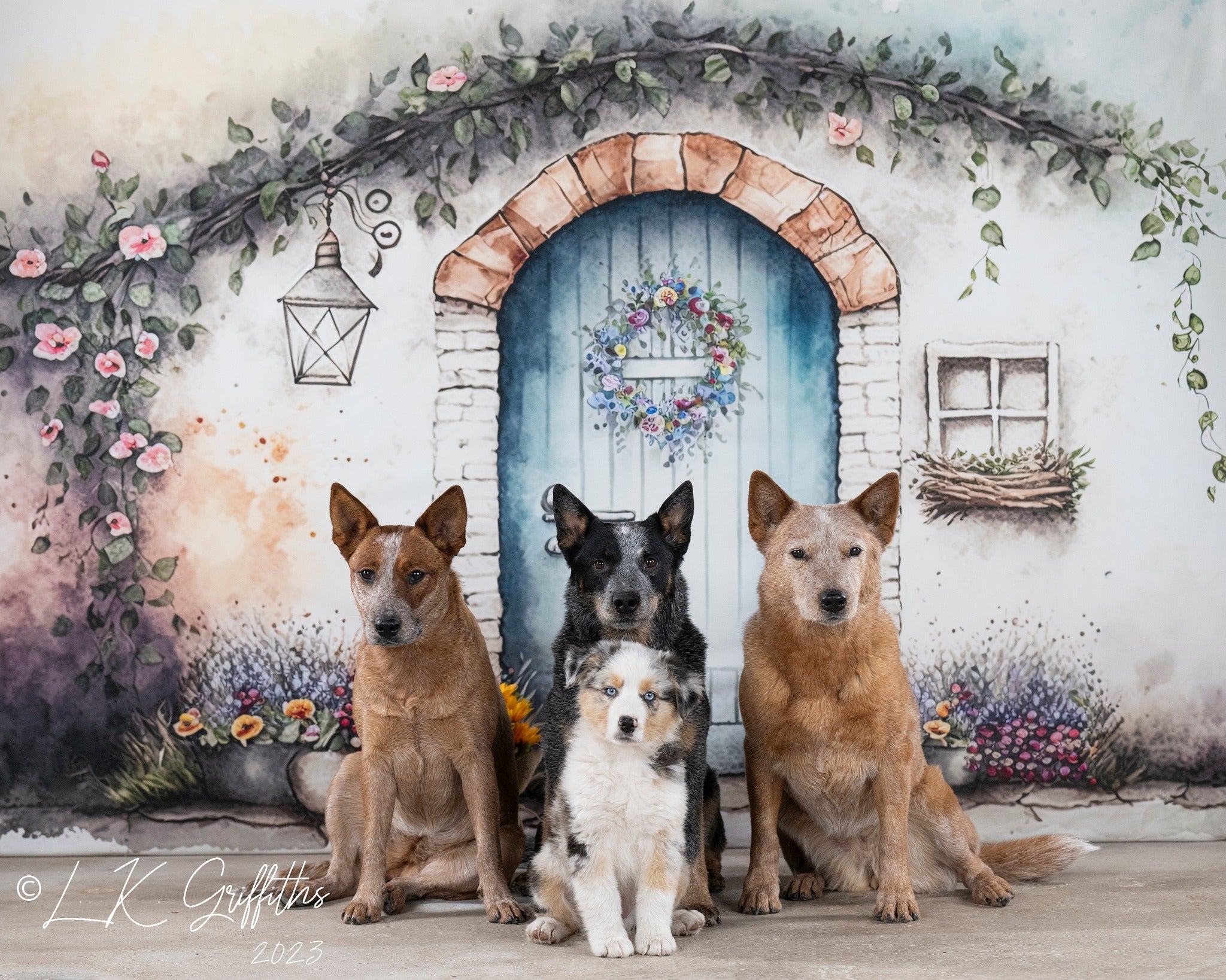 Kate Blooming Brick Wall Backdrop Designed by Patty Robertss - Kate Backdrop AU
