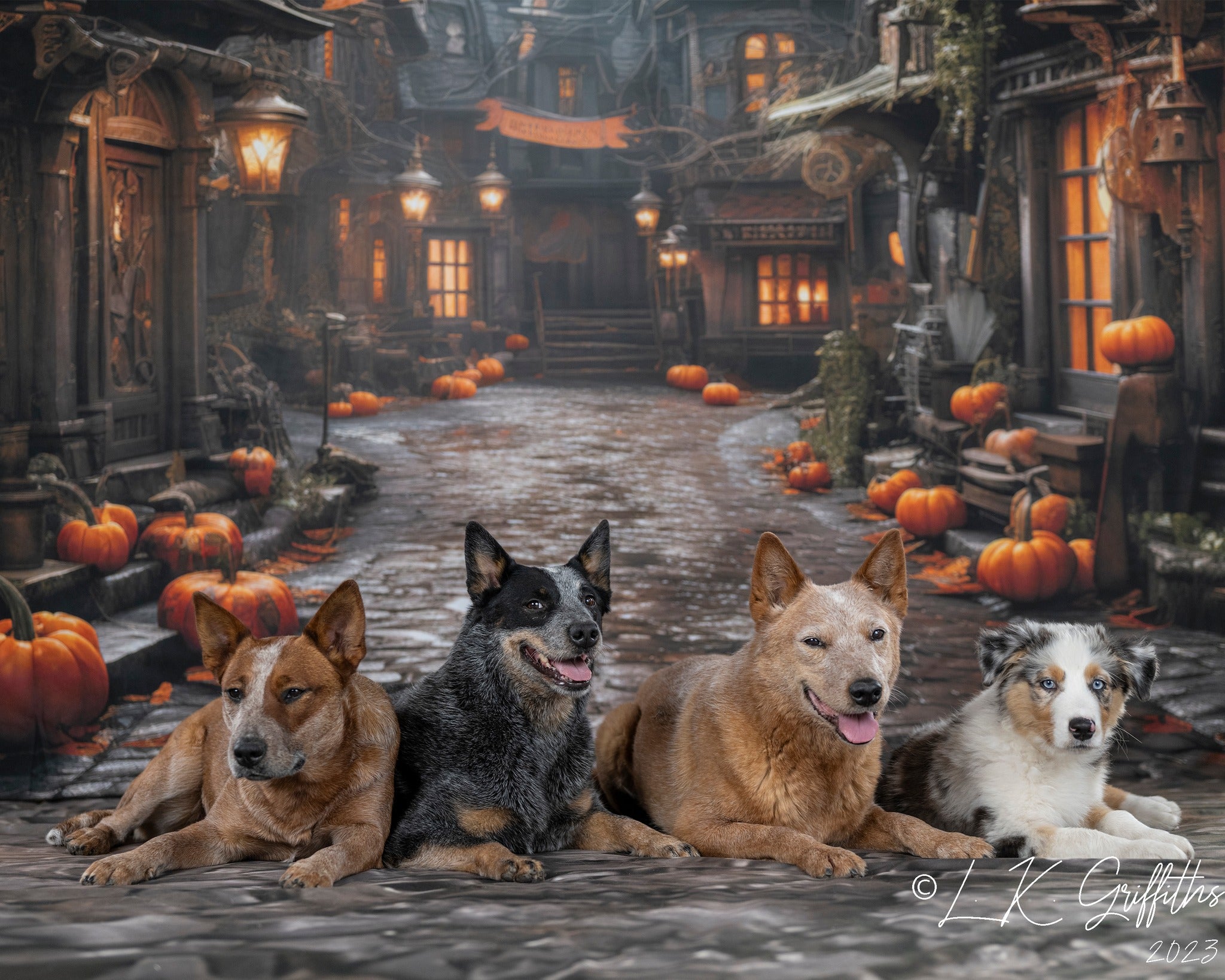 Kate Halloween Pumpkin Town Backdrop Designed by Emetselch - Kate Backdrop AU