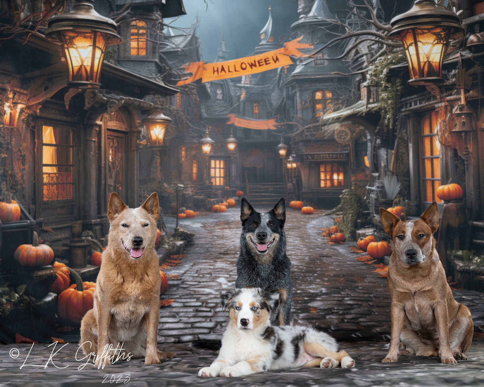Kate Halloween Pumpkin Town Backdrop Designed by Emetselch - Kate Backdrop AU