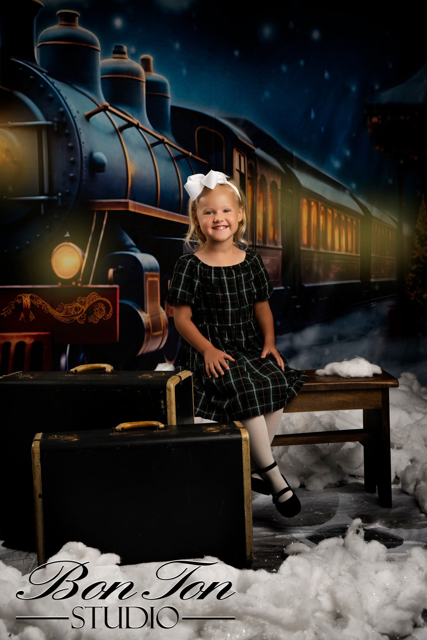 Kate Christmas Winter Train Backdrop for Photography - Kate Backdrop AU