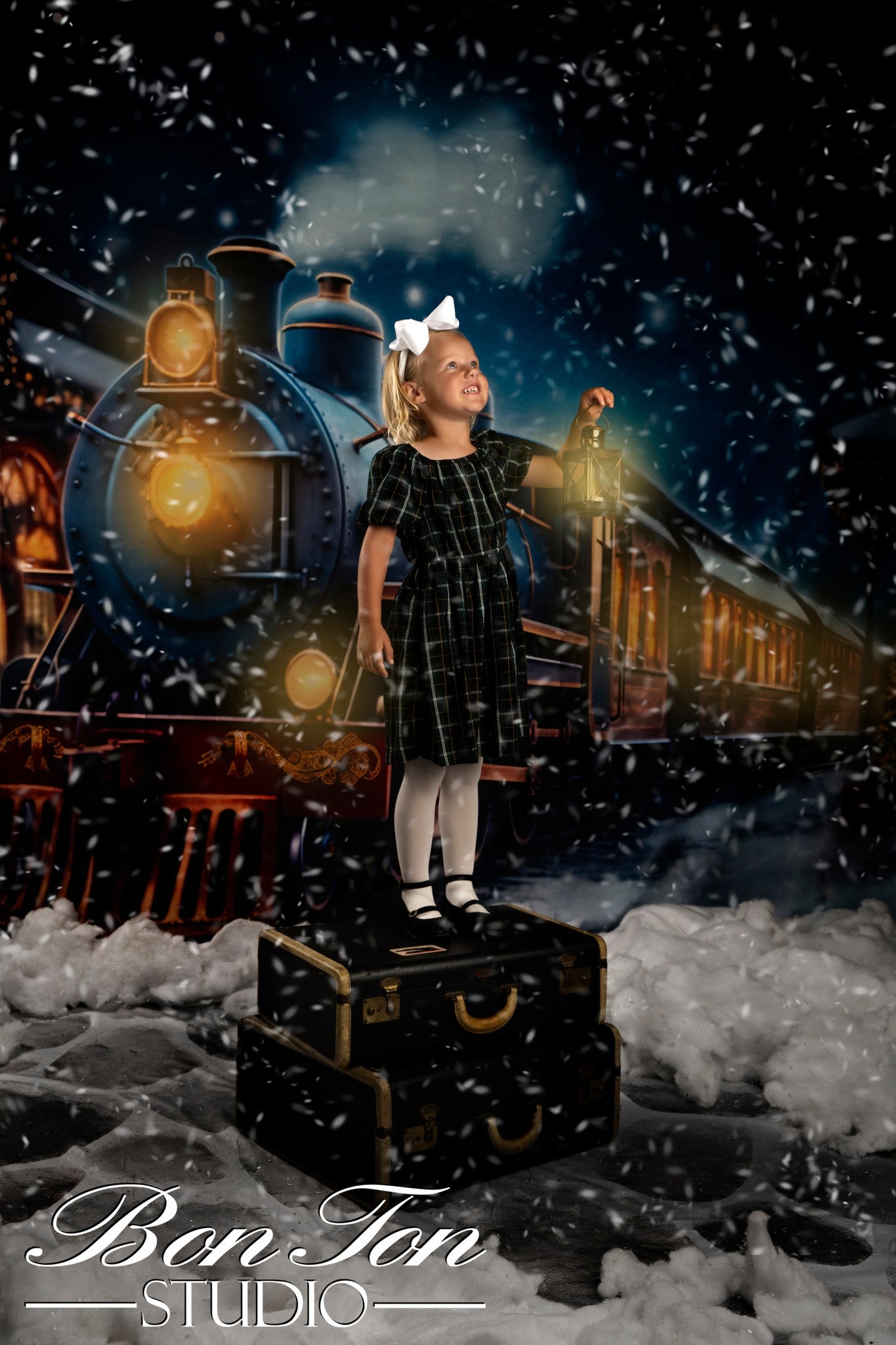 Kate Christmas Winter Train Backdrop for Photography - Kate Backdrop AU