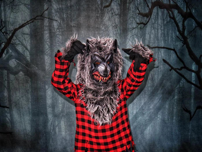 Kate Halloween Spooky Night Forest Backdrop Designed By Arica Kirby - Kate Backdrop AU
