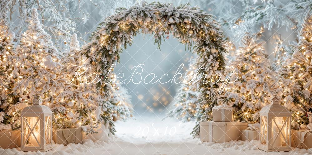 Kate Christmas Snowy Arch Winter Backdrop Designed by Emetselch - Kate Backdrop AU