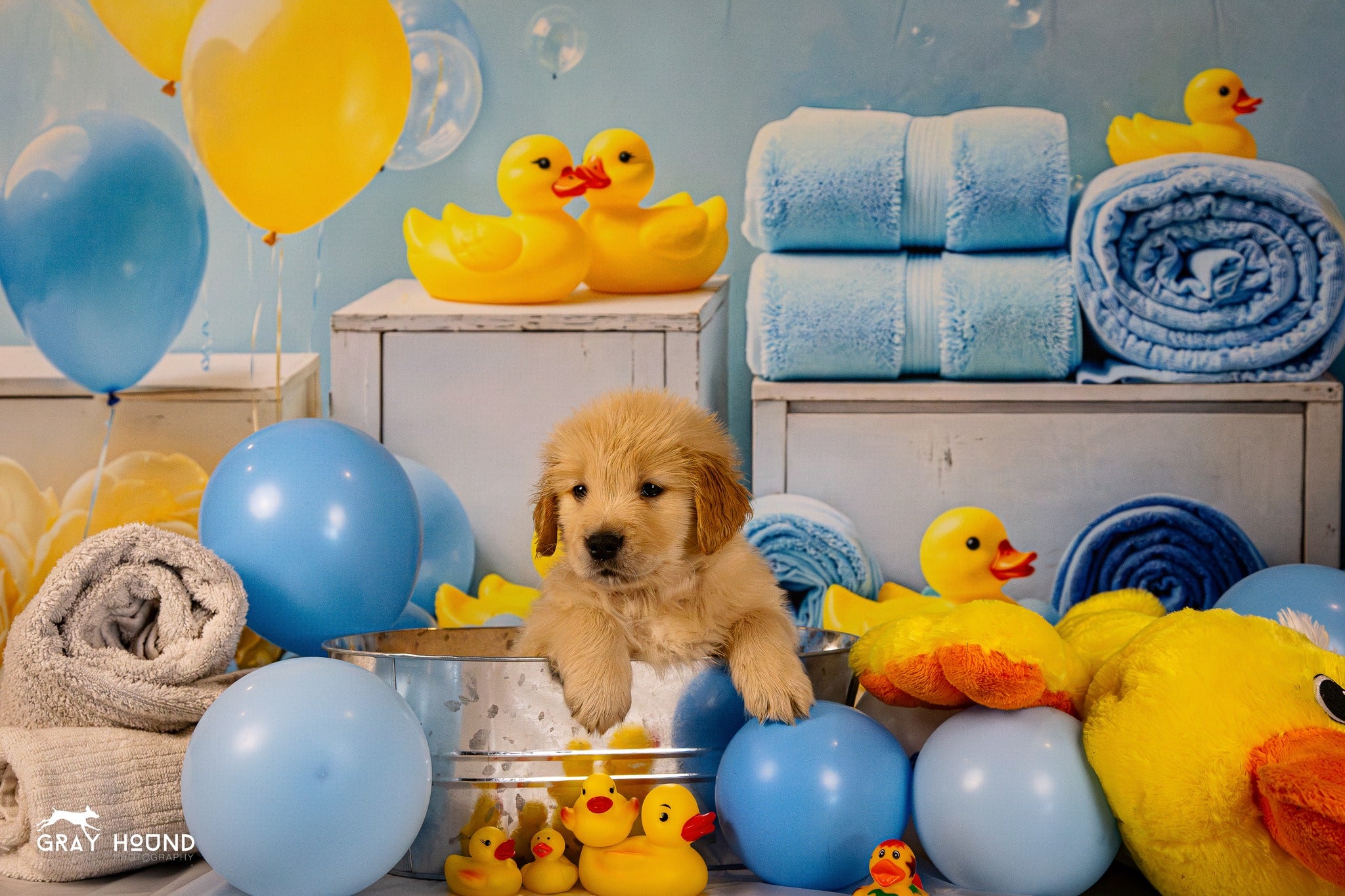 Kate baby Shower Duck Backdrop Designed by Emetselch - Kate Backdrop AU
