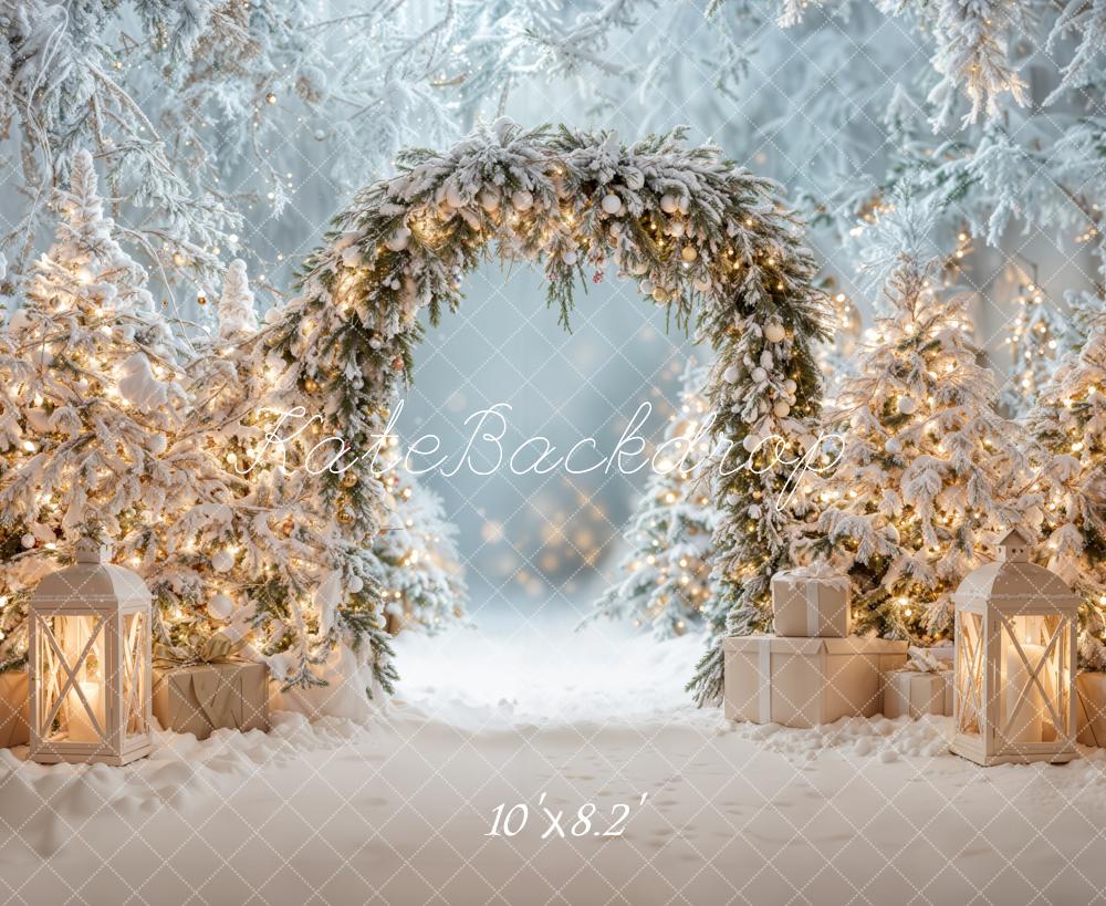 Kate Christmas Snowy Arch Winter Backdrop Designed by Emetselch - Kate Backdrop AU
