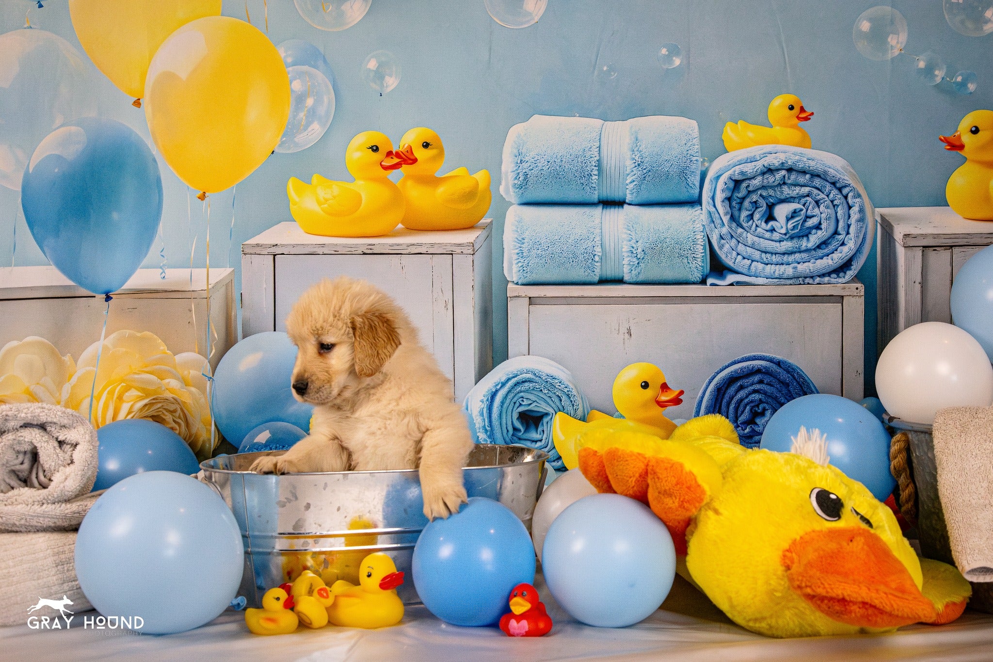 Kate baby Shower Duck Backdrop Designed by Emetselch - Kate Backdrop AU