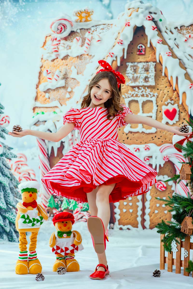 Kate Christmas Gingerbread House Backdrop Designed by Chain