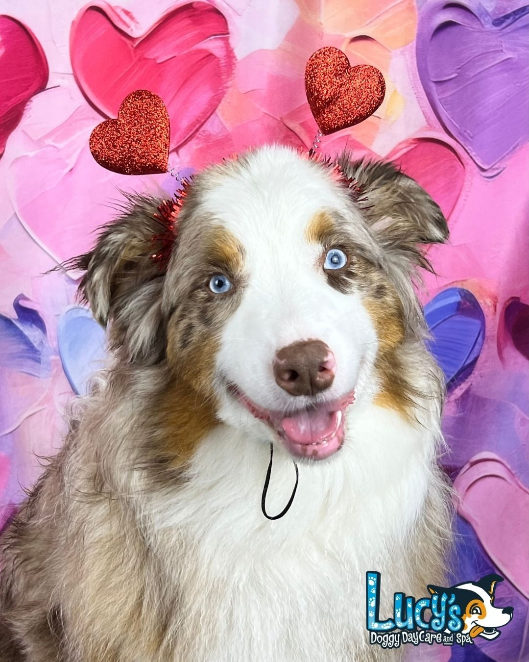 Kate Valentines Day Painted Hearts Backdrop Designed by Patty Robertss - Kate Backdrop AU