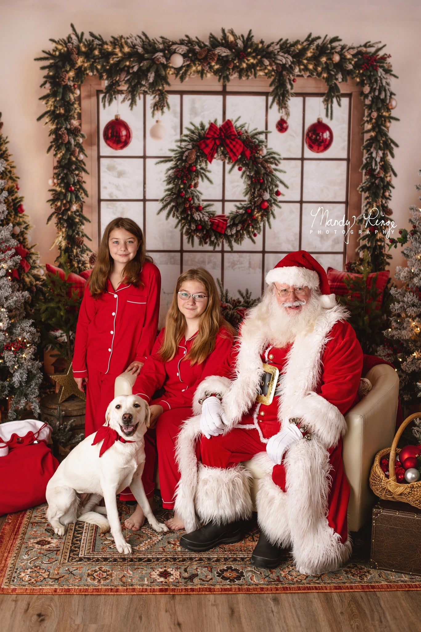 Kate Christmas Tree Decorate Window Backdrop Designed by Emetselch - Kate Backdrop AU