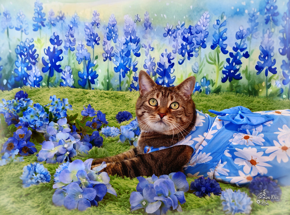 Kate Blossoming Bluebonnets Backdrop Designed by Patty Robertss - Kate Backdrop AU