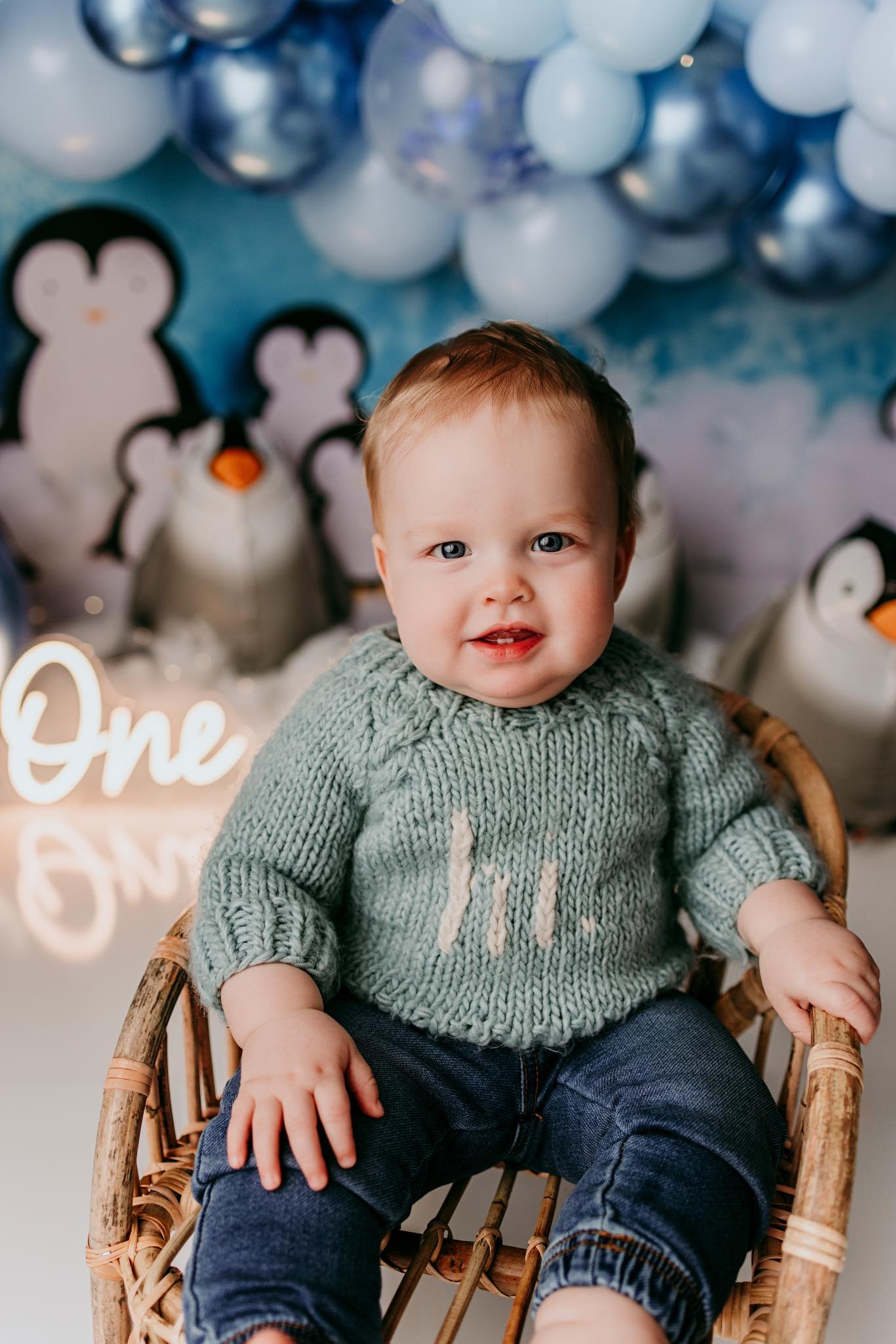 Kate Winter Penguins Backdrop Designed by Melissa King - Kate Backdrop AU