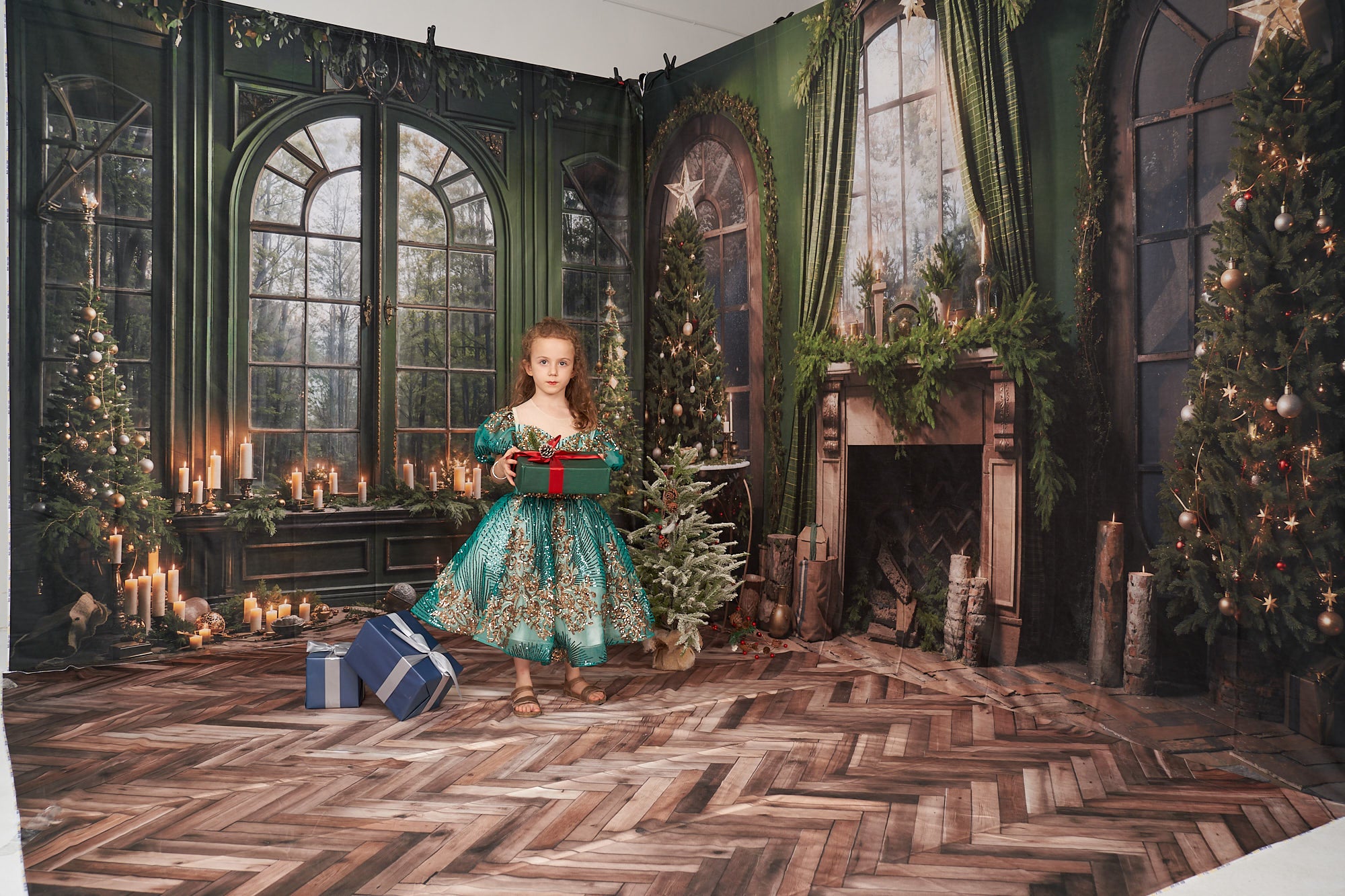 Kate Christmas Fireplace Window Green Room Set(8ftx8ft&10ftx8ft&8ftx10ft) - Kate Backdrop AU