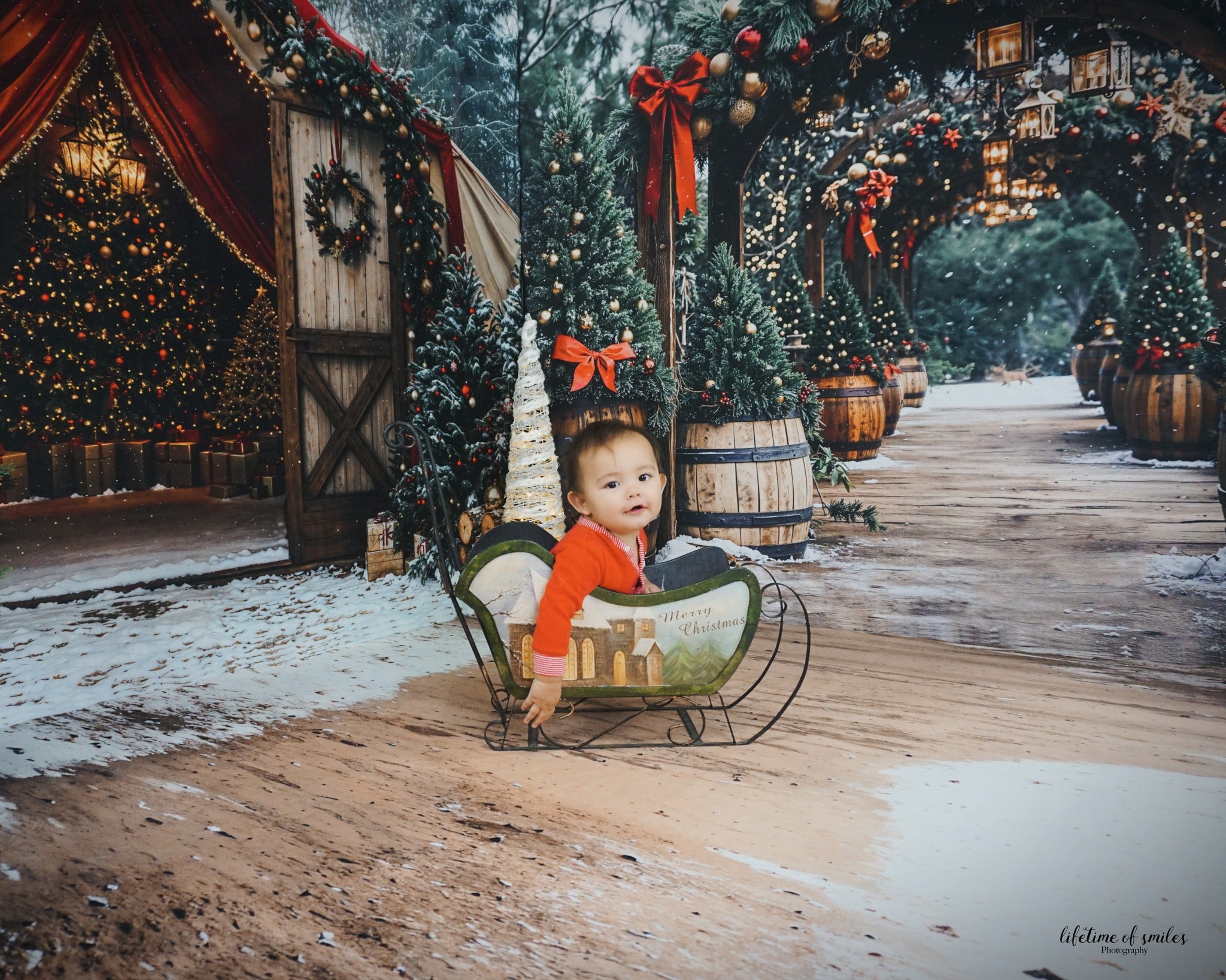 Kate Christmas Trees Arch Snow Room Set - Kate Backdrop AU