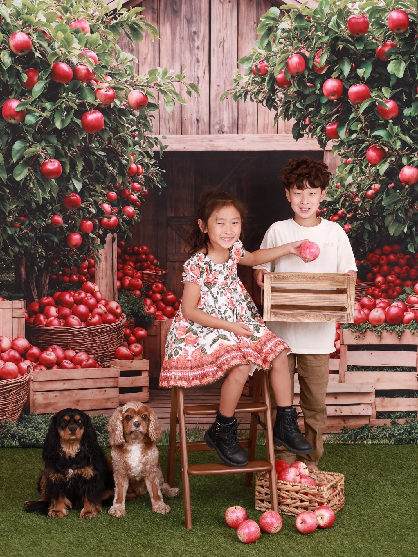 Kate Fall Apple Orchard Barn Backdrop Designed by Emetselch