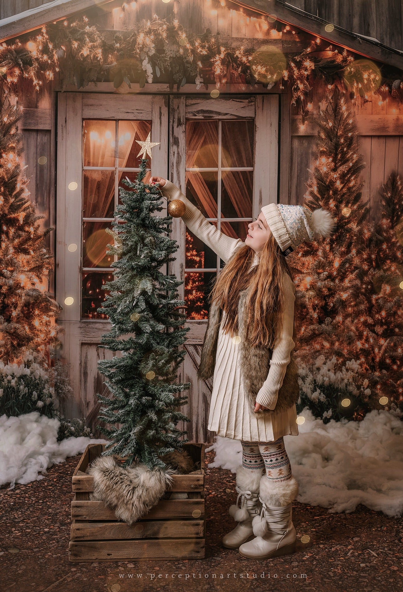 Kate Christmas Barn with Lights and Christmas Tree Fleece Backdrop Designed by Emetselch - Kate Backdrop AU