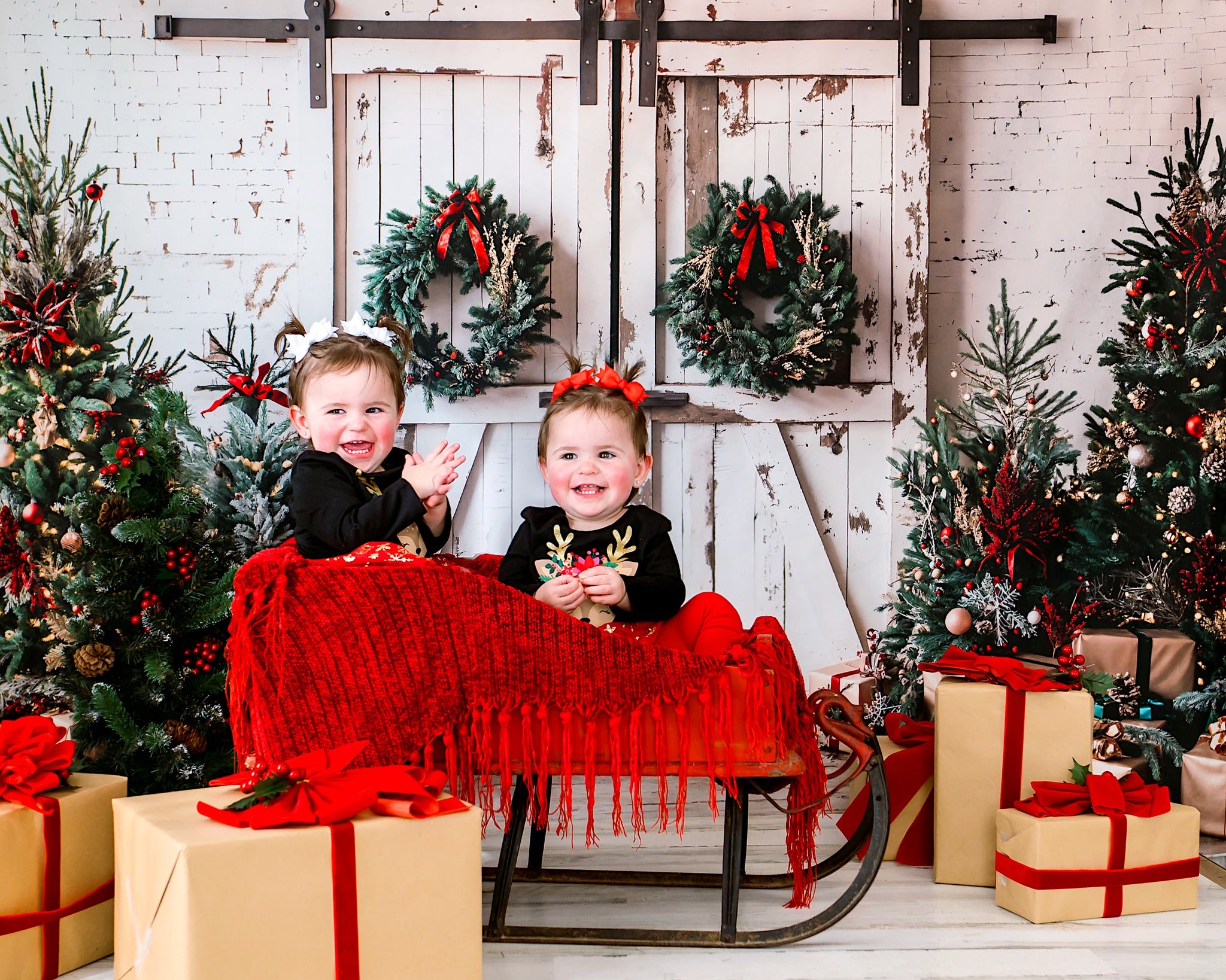 Kate Christmas Backdrop White Shabby Barn Door Designed by Emetselch