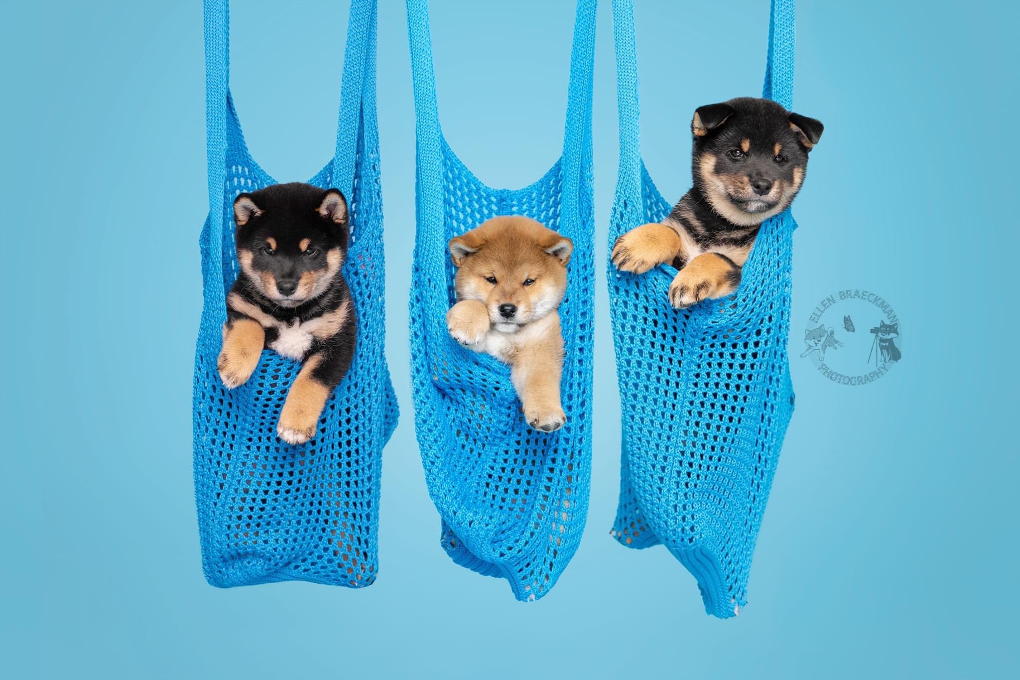 Kate Sky Blue Seamless Paper Backdrop for Photography