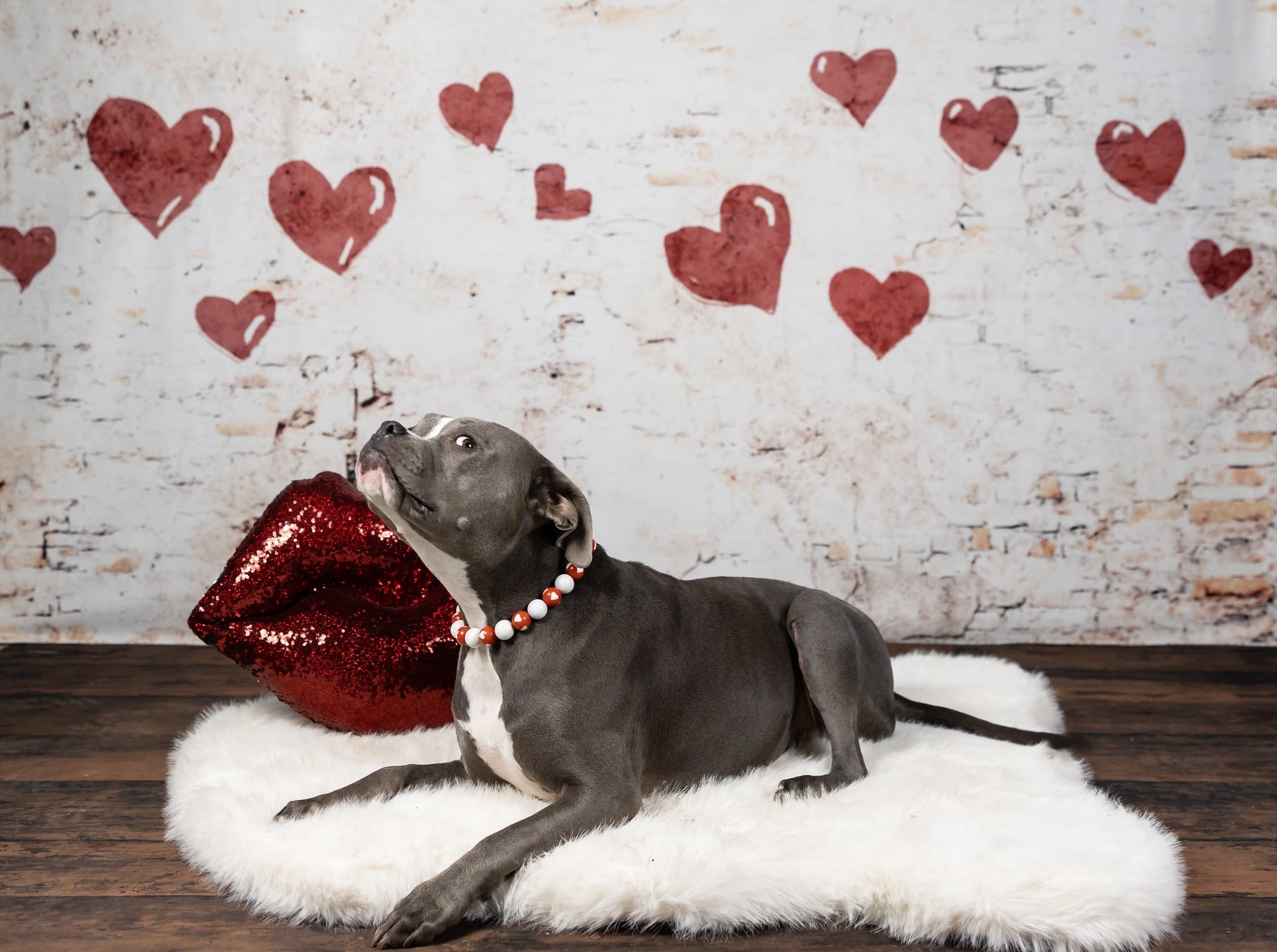 Kate Valentine Hearts Vintage Backdrop Shabby Wall Designed by Kate Image - Kate Backdrop AU