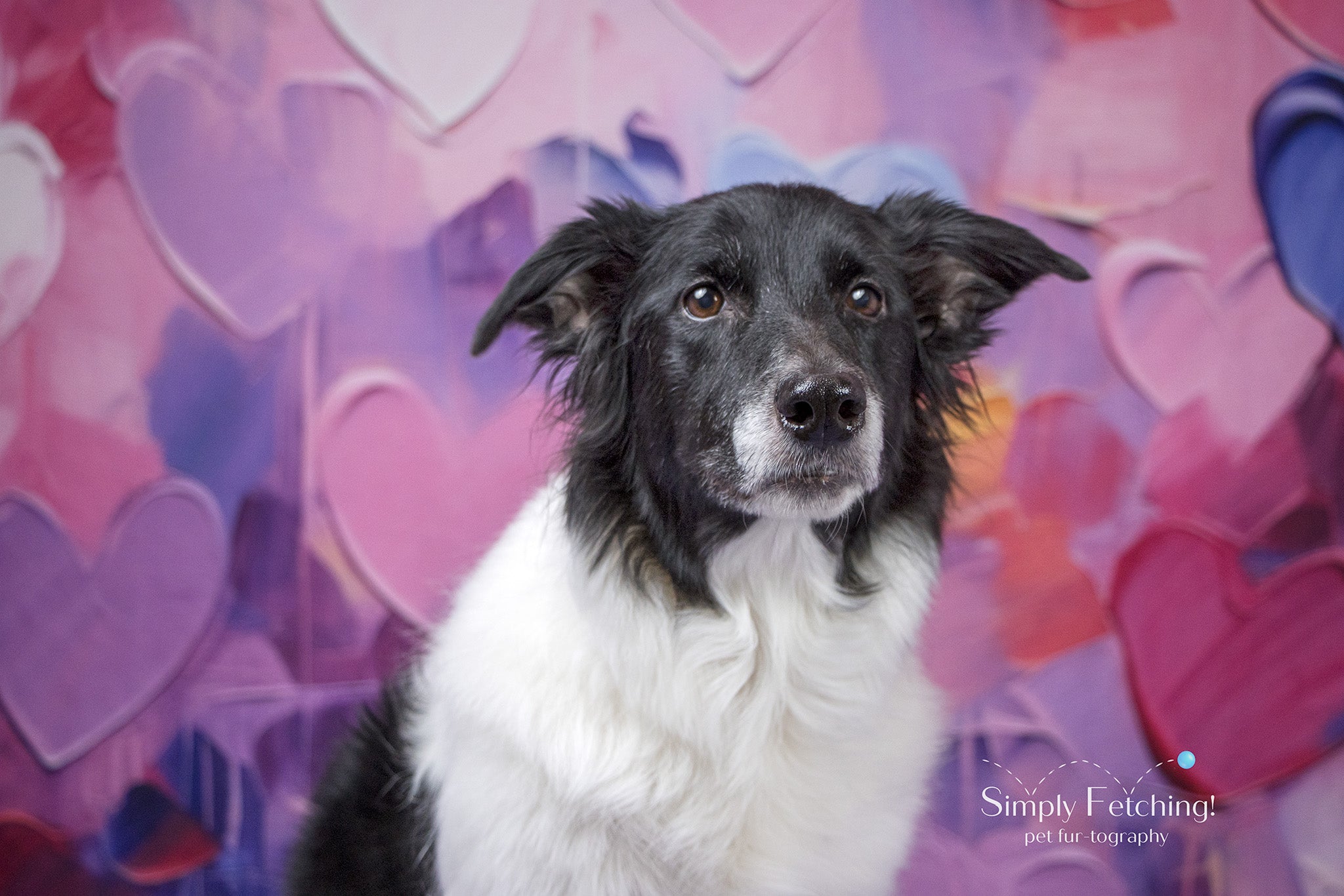 Kate Valentines Day Painted Hearts Backdrop Designed by Patty Robertss - Kate Backdrop AU