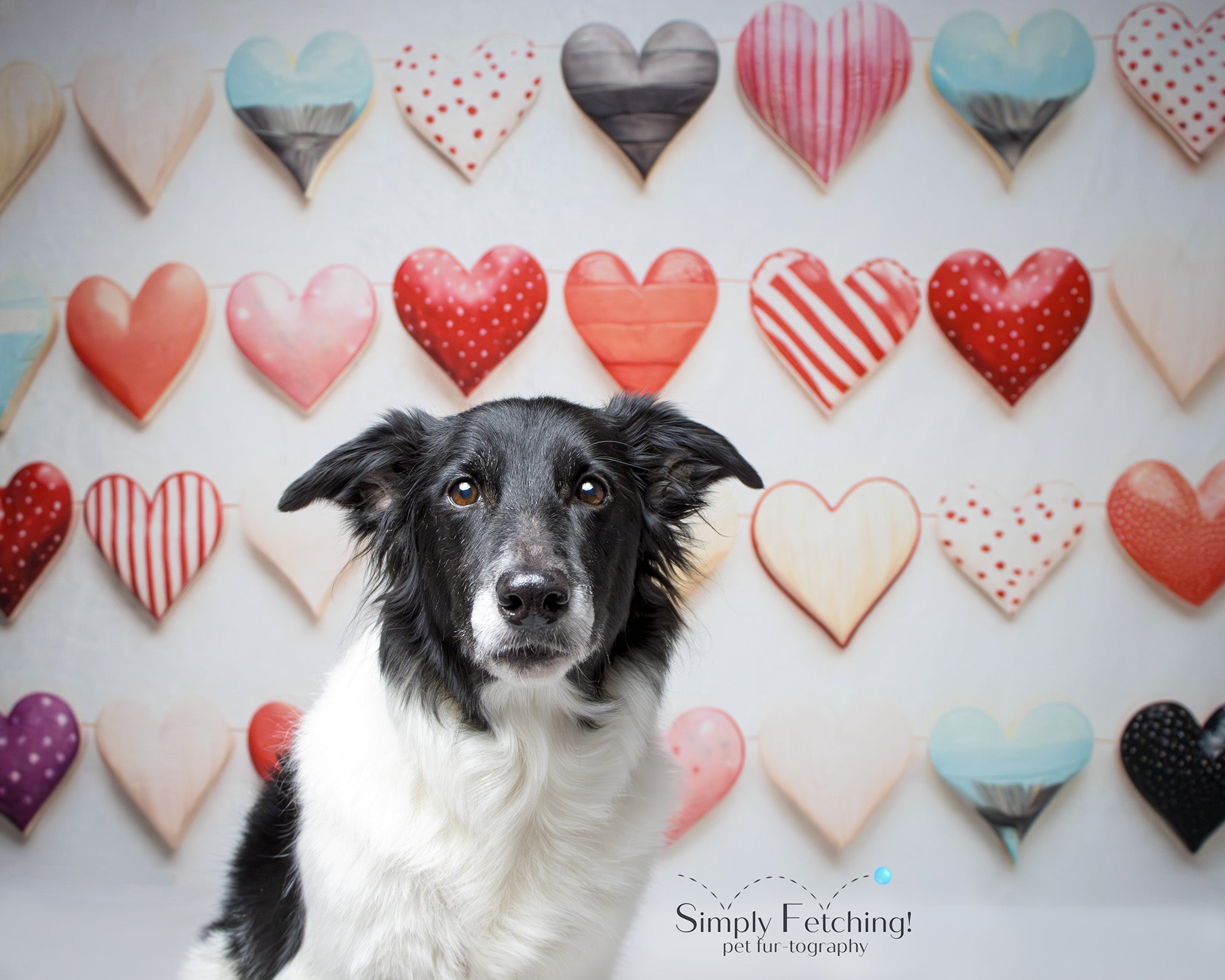 Kate Ceramic Valentines Day Hearts Backdrop Designed by Patty Robertss - Kate Backdrop AU
