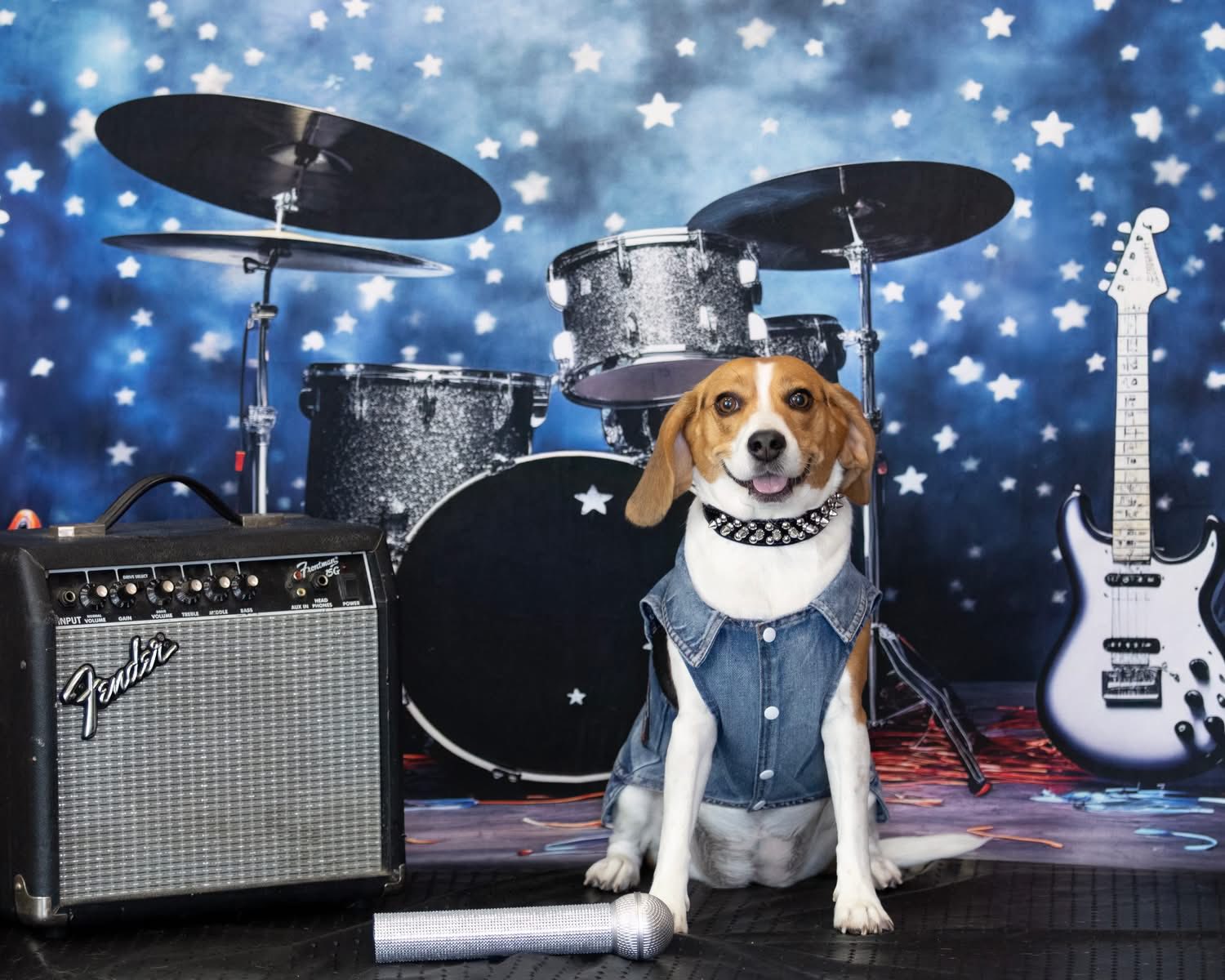 Kate Drums Guitars Rock Backdrop Designed by Emetselch