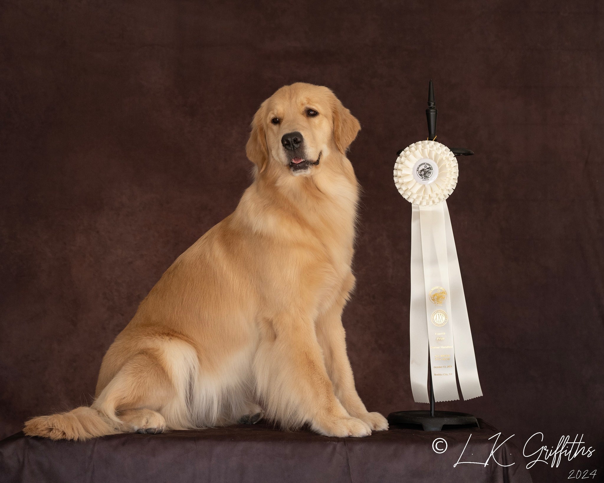 Kate Texture Abstract Fine Art Backdrop Designed by Kate Image - Kate Backdrop AU