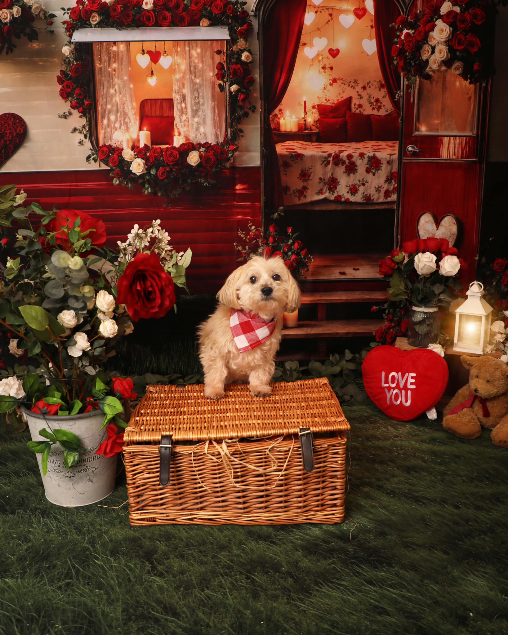 Kate Valentine's Day Romantic Heart Camper Backdrop Designed by Emetselch - Kate Backdrop AU