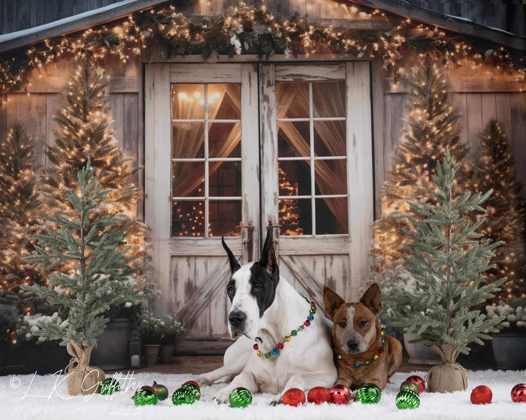 Kate Christmas Barn with Lights and Christmas Tree Backdrop Designed by Emetselch - Kate Backdrop AU