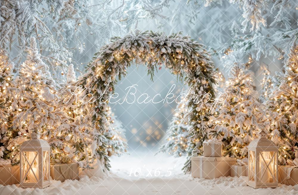 Kate Christmas Snowy Arch Winter Backdrop Designed by Emetselch - Kate Backdrop AU