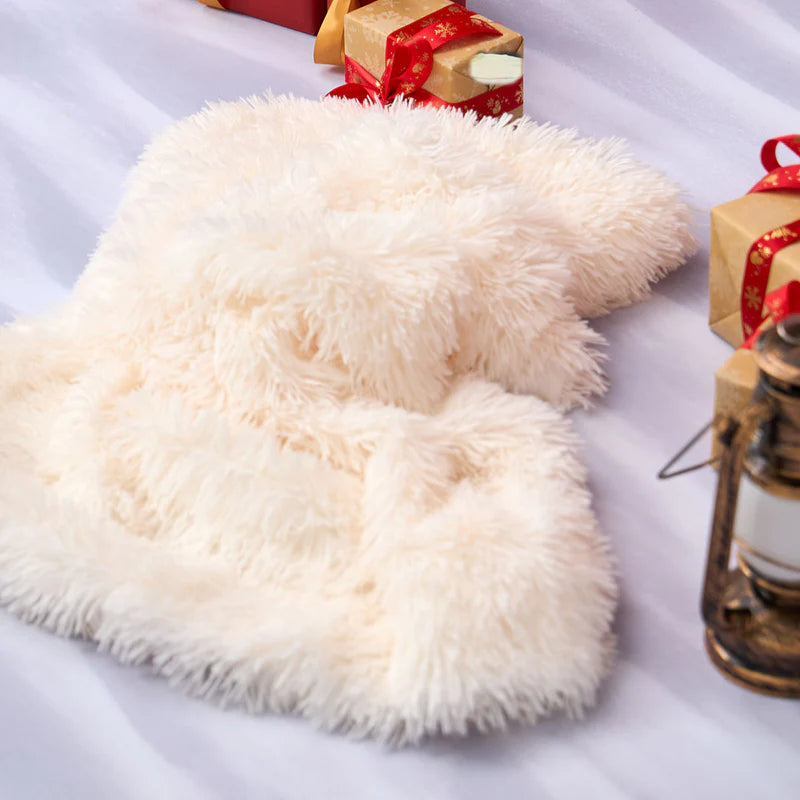 Kate Winter Christmas Tree Red Front Wooden Door Wreath Photo Kit - Kate Backdrop AU