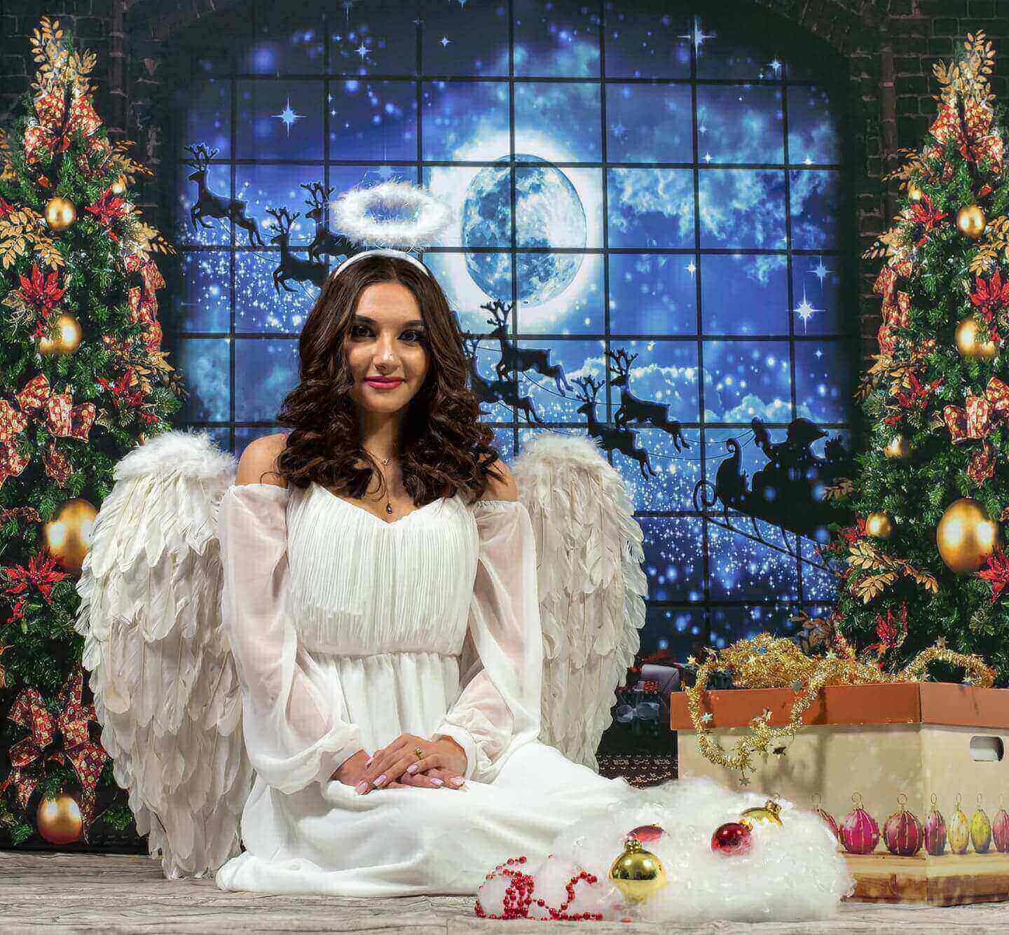 Kate Christmas Windows Sleigh Backdrop Elk for Photography - Kate Backdrop AU