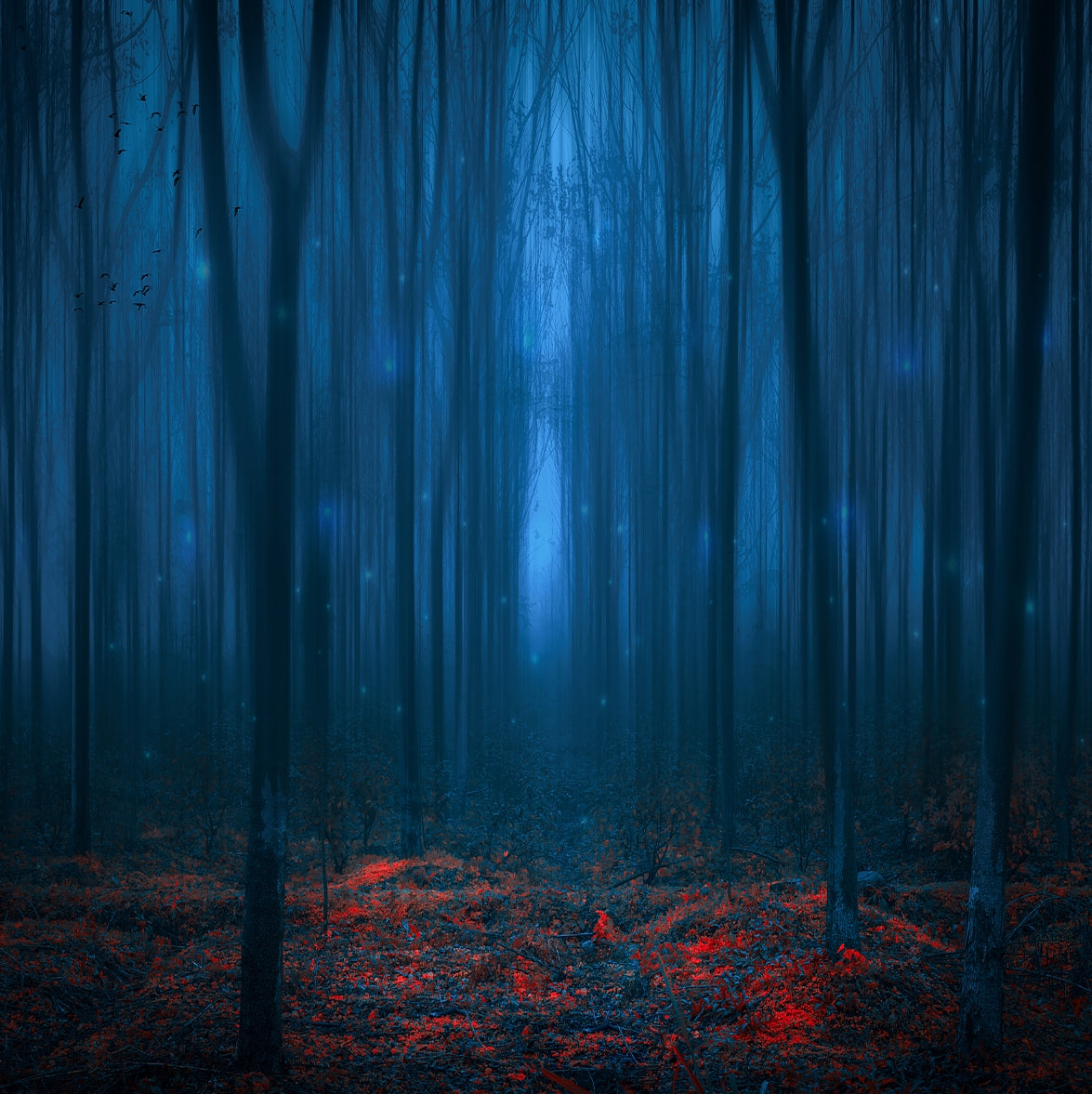 Kate Halloween Forest Backdrop for Photography - Kate Backdrop AU