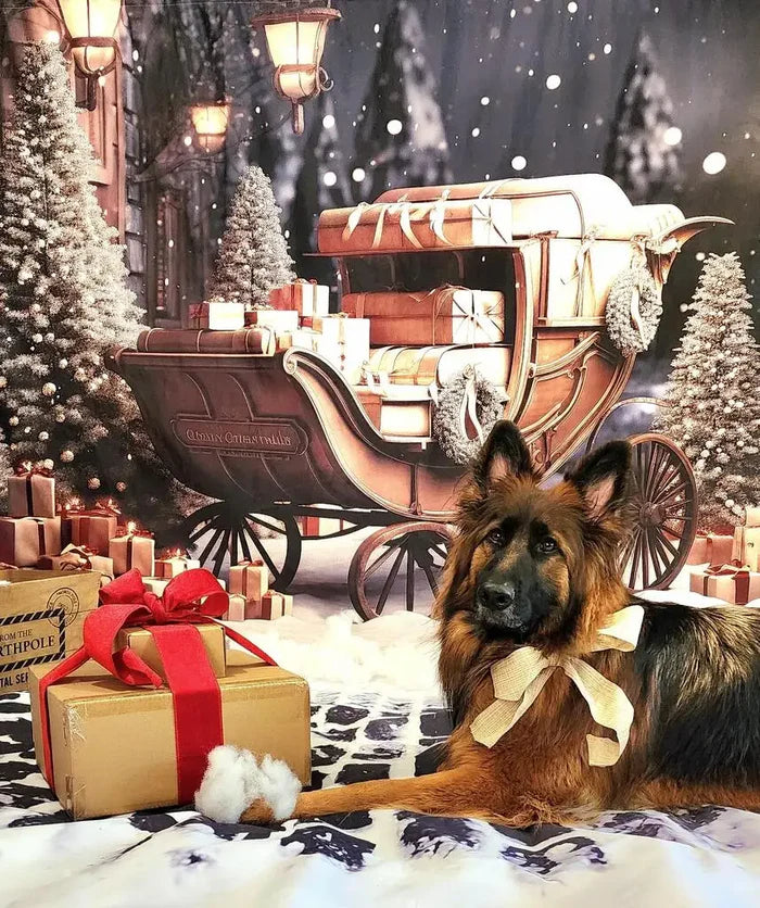 Kate Christmas Gifts in Car Outdoor Backdrop Designed by Emetselch - Kate Backdrop AU