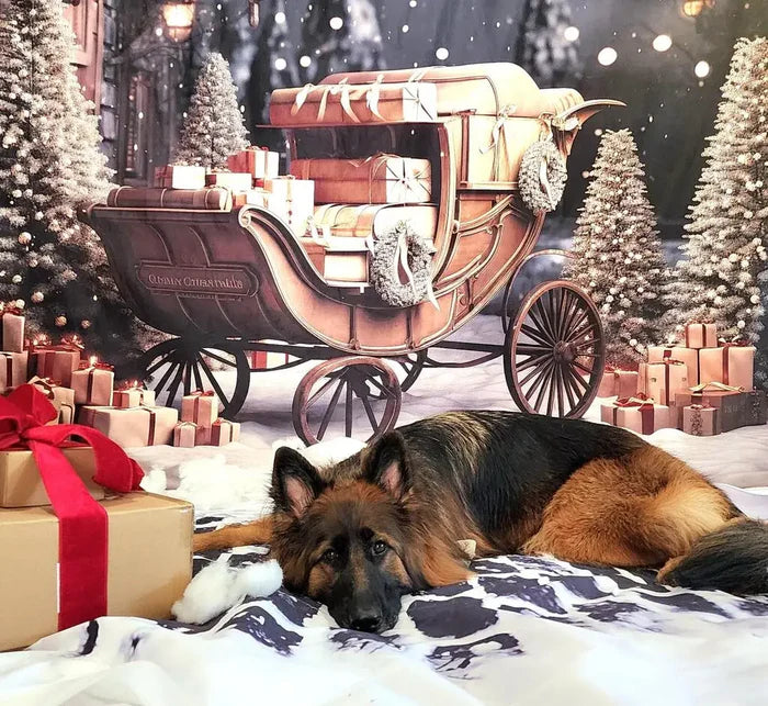 Kate Christmas Gifts in Car Outdoor Backdrop Designed by Emetselch - Kate Backdrop AU