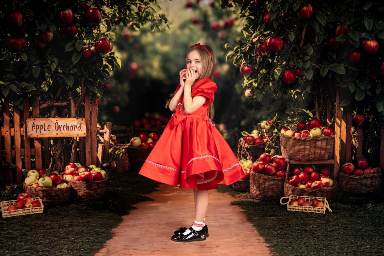 Kate Christmas Red Puff Sleeve Kids Dress for Photography