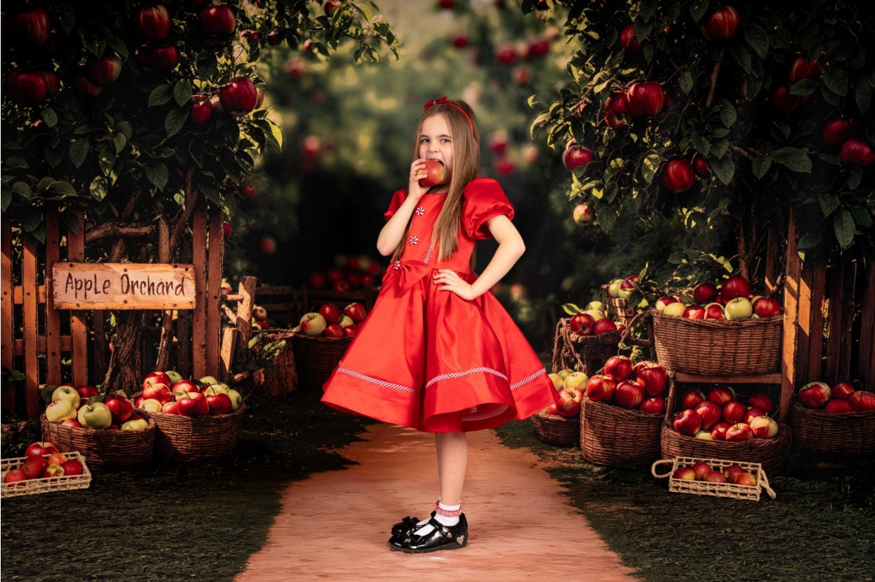 Kate Christmas Red Puff Sleeve Kids Dress for Photography