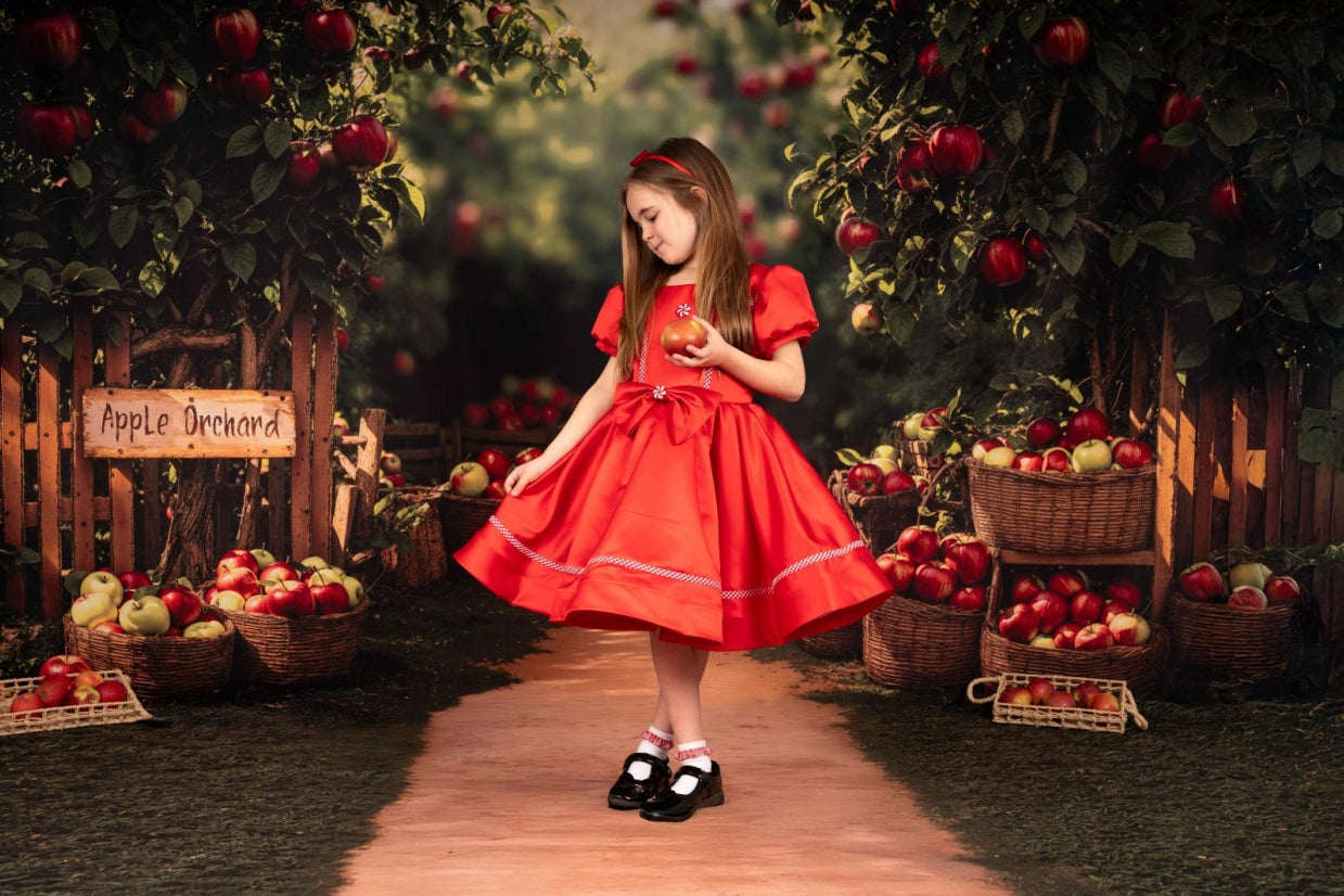 Kate Christmas Red Puff Sleeve Kids Dress for Photography