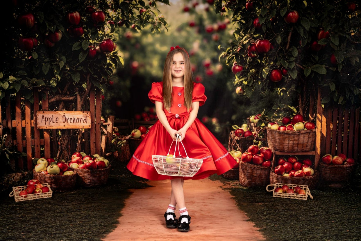 Kate Christmas Red Puff Sleeve Kids Dress for Photography