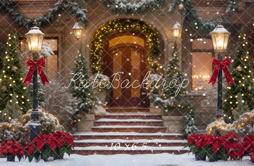 Kate Christmas Snowy Steps Backdrop Designed by Chain