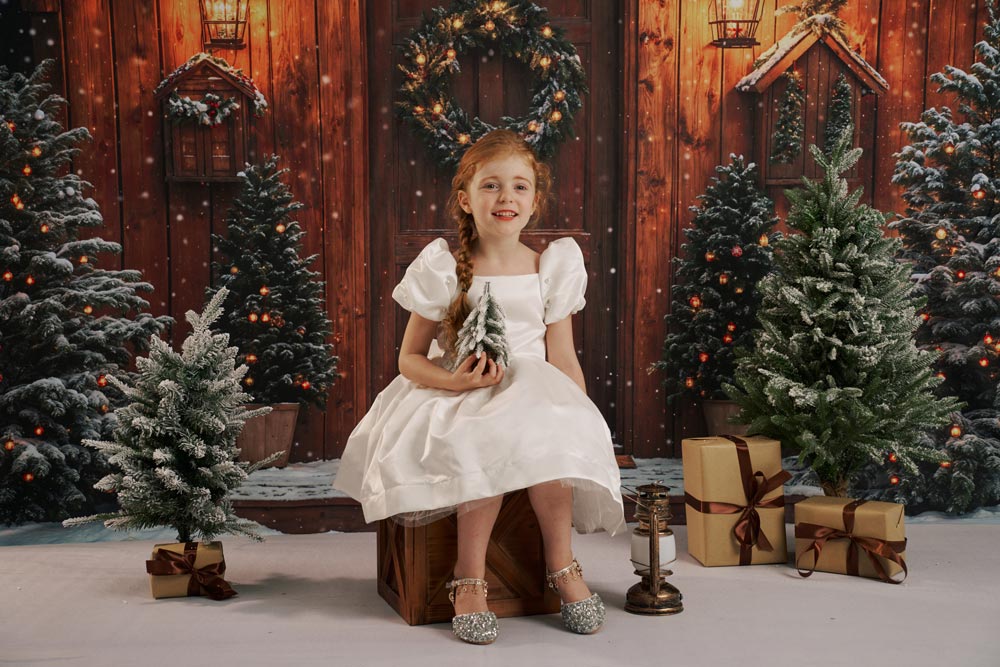 Kate Christmas Log House Backdrop Designed by Emetselch - Kate Backdrop AU