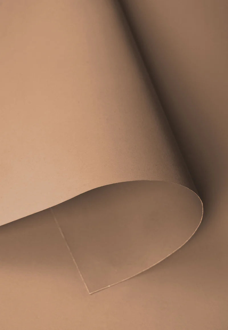 Kate Dark Beige Seamless Paper Backdrop for Photography