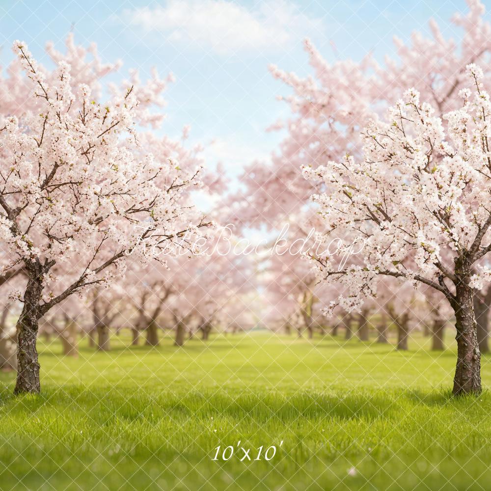 Kate Spring Cherry Blossom Backdrop Designed by Emetselch