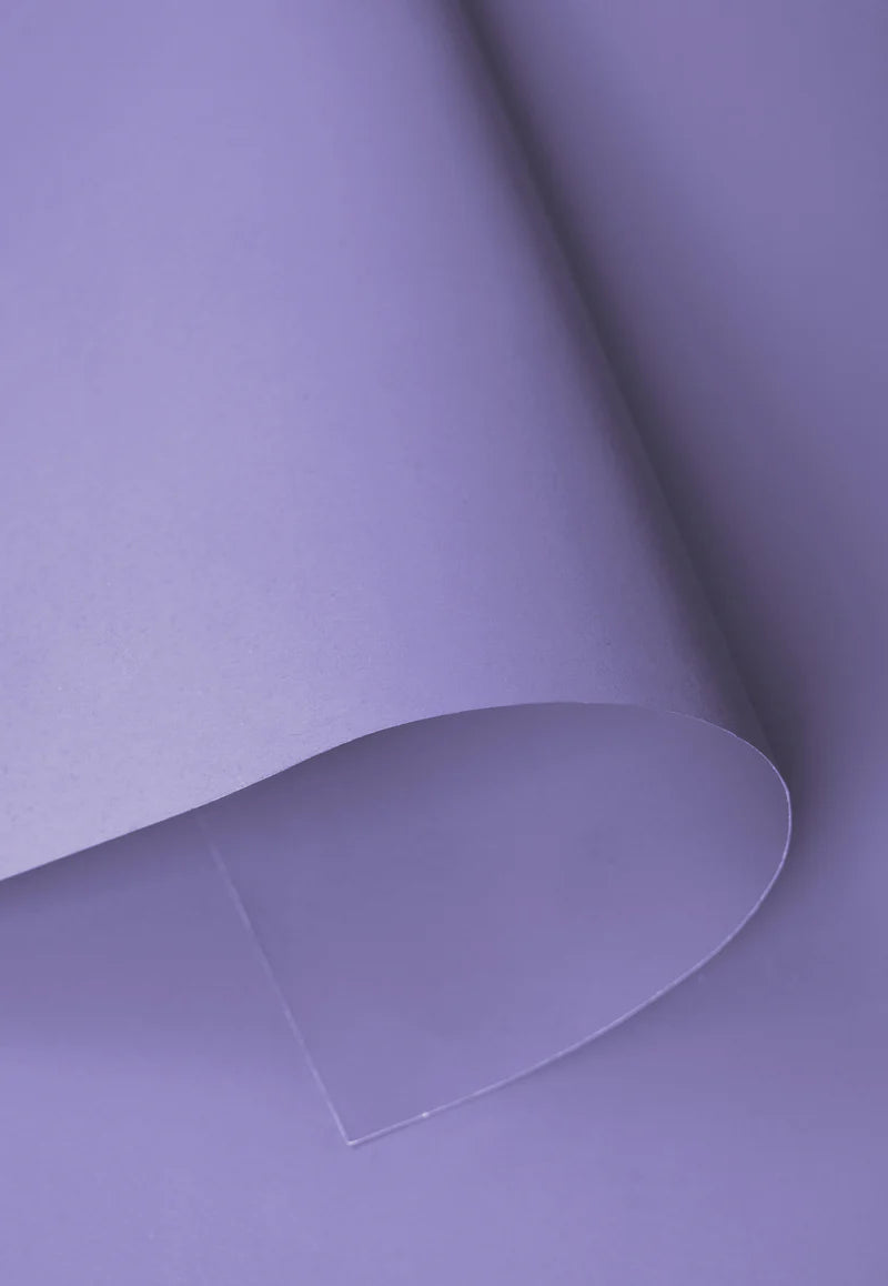 Kate Thistle Purple Seamless Paper Backdrop for Photography - Kate Backdrop AU