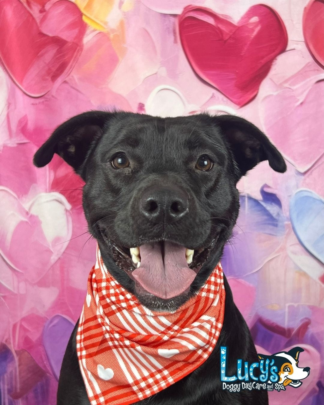 Kate Valentines Day Painted Hearts Backdrop Designed by Patty Robertss - Kate Backdrop AU