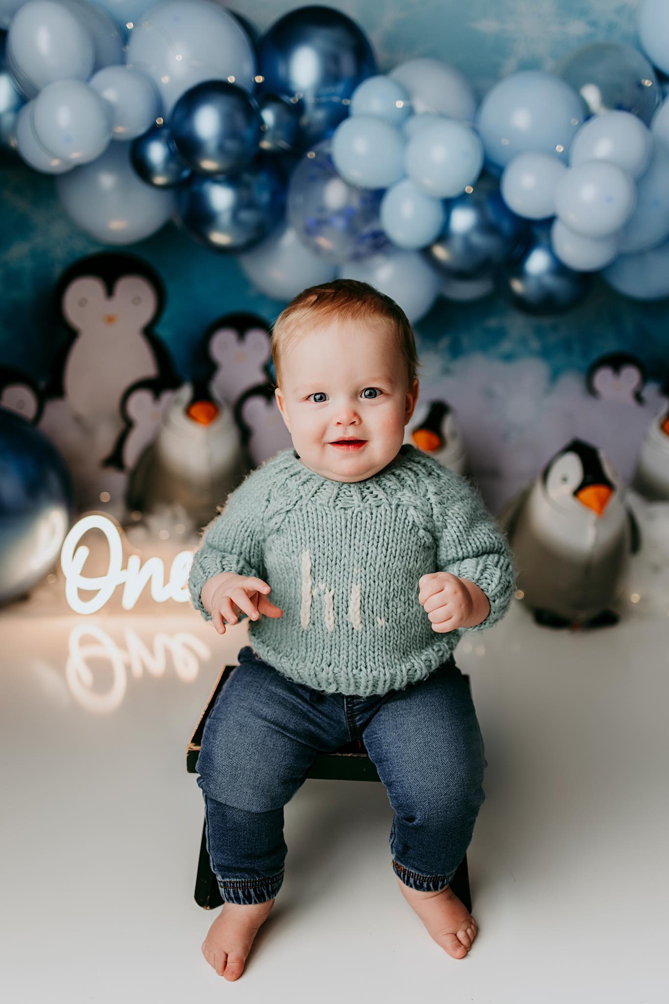 Kate Winter Penguins Backdrop Designed by Melissa King - Kate Backdrop AU