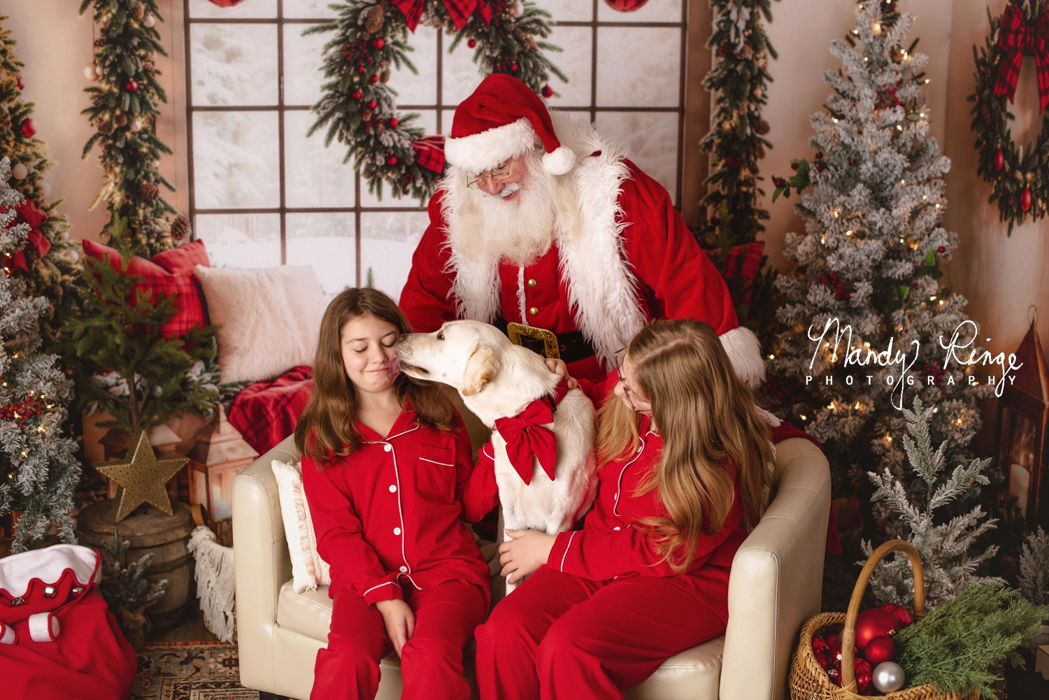 Kate Christmas Tree Decorate Window Backdrop Designed by Emetselch - Kate Backdrop AU