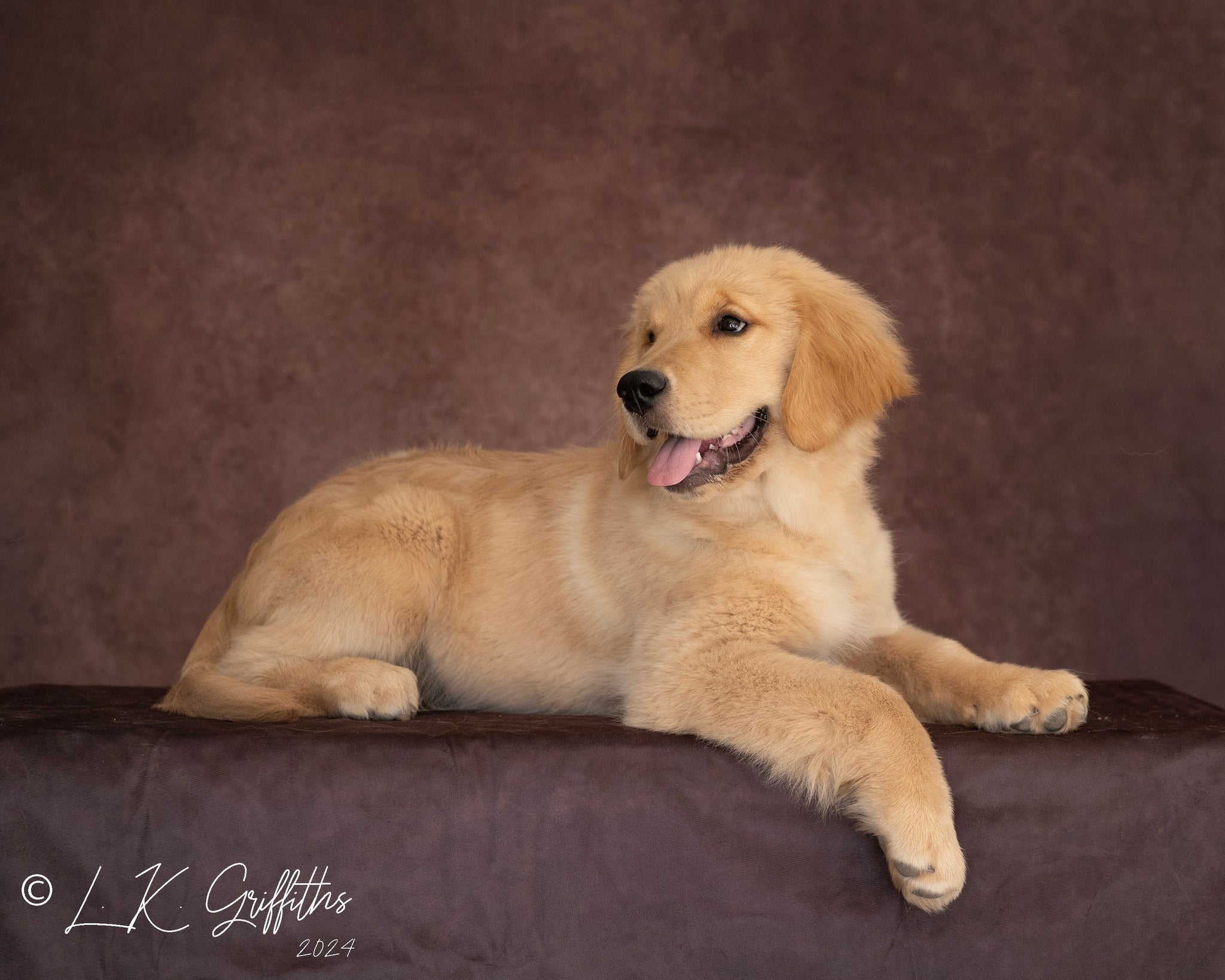 Kate Texture Abstract Fine Art Backdrop Designed by Kate Image - Kate Backdrop AU